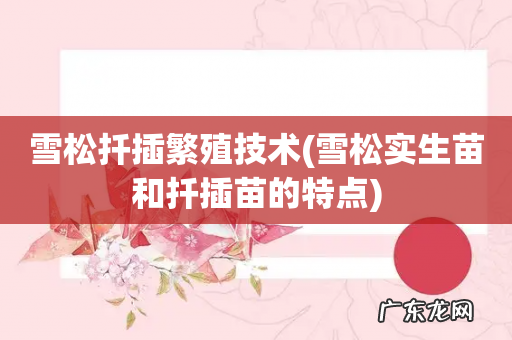 雪松实生苗和扦插苗的特点 雪松扦插繁殖技术