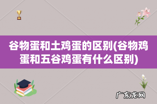 谷物鸡蛋和五谷鸡蛋有什么区别 谷物蛋和土鸡蛋的区别