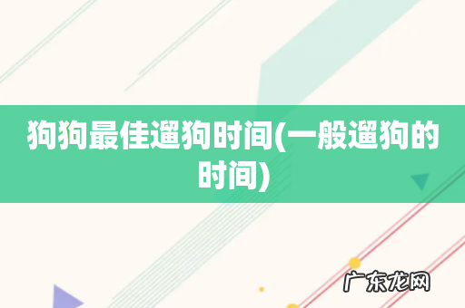 一般遛狗的时间 狗狗最佳遛狗时间