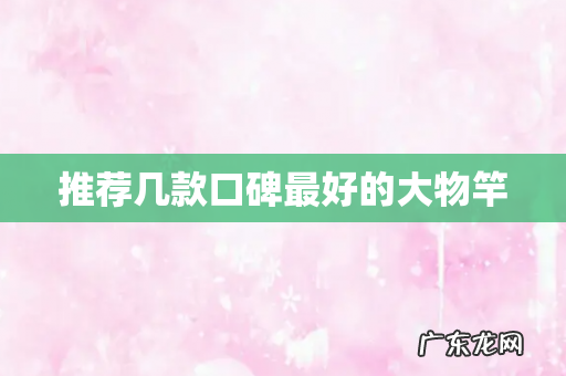 推荐几款口碑最好的大物竿