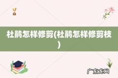杜鹃怎样修剪枝 杜鹃怎样修剪