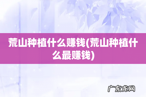 荒山种植什么最赚钱 荒山种植什么赚钱