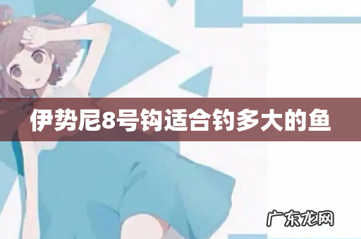伊势尼8号钩适合钓多大的鱼