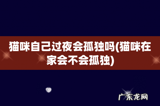 猫咪在家会不会孤独 猫咪自己过夜会孤独吗
