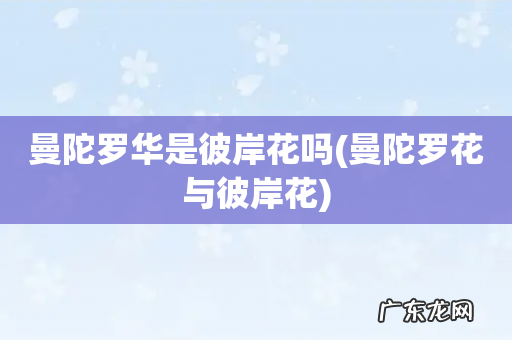 曼陀罗花与彼岸花 曼陀罗华是彼岸花吗