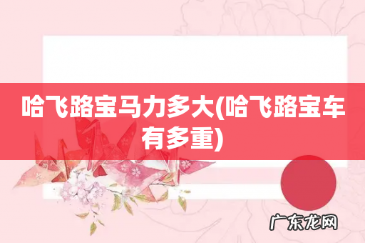 哈飞路宝车有多重 哈飞路宝马力多大