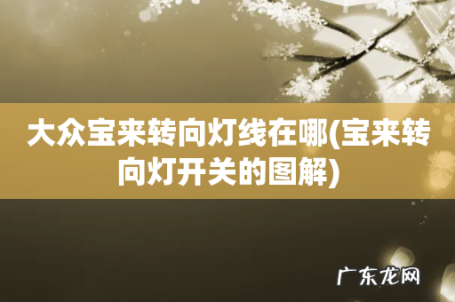 宝来转向灯开关的图解 大众宝来转向灯线在哪