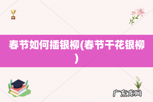 春节干花银柳 春节如何插银柳