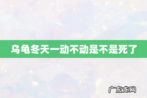 乌龟冬天一动不动是不是死了