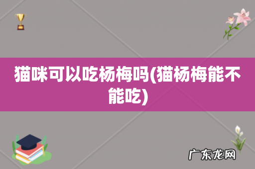 猫杨梅能不能吃 猫咪可以吃杨梅吗