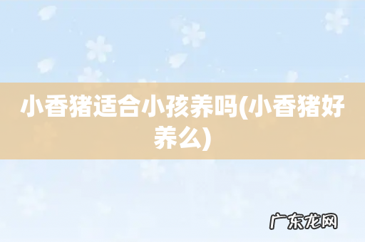 小香猪好养么 小香猪适合小孩养吗