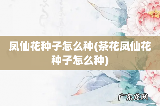 茶花凤仙花种子怎么种 凤仙花种子怎么种