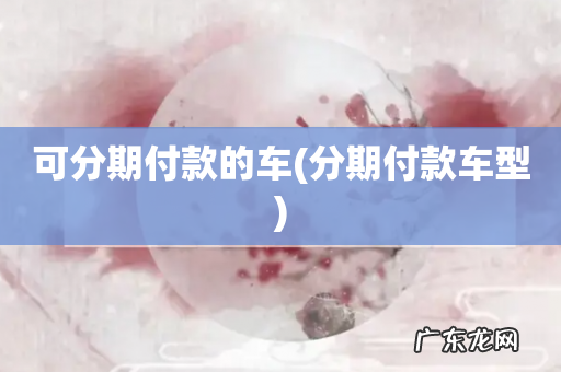 分期付款车型 可分期付款的车