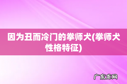 拳师犬性格特征 因为丑而冷门的拳师犬