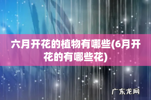 6月开花的有哪些花 六月开花的植物有哪些