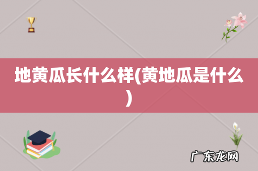 黄地瓜是什么 地黄瓜长什么样