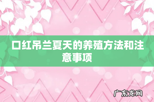 口红吊兰夏天的养殖方法和注意事项