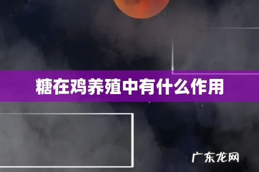 糖在鸡养殖中有什么作用