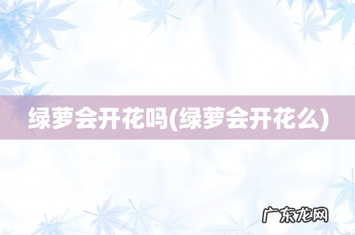 绿萝会开花么 绿萝会开花吗