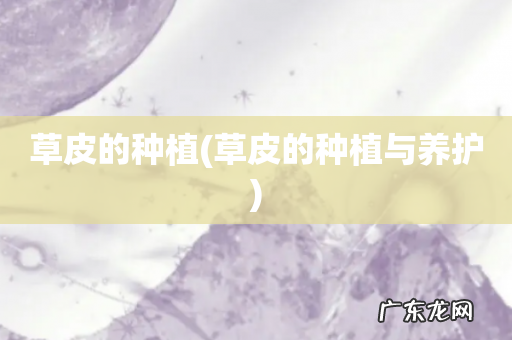 草皮的种植与养护 草皮的种植
