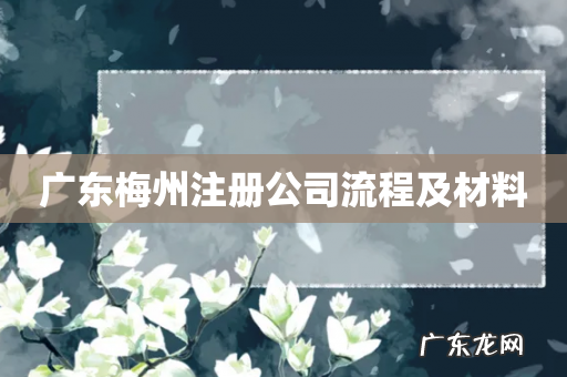 广东梅州注册公司流程及材料