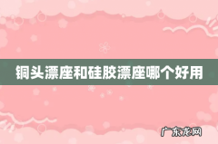 铜头漂座和硅胶漂座哪个好用