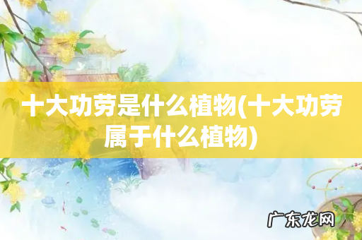 十大功劳属于什么植物 十大功劳是什么植物