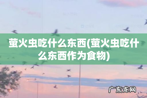 萤火虫吃什么东西作为食物 萤火虫吃什么东西