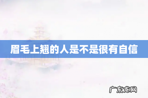 眉毛上翘的人是不是很有自信