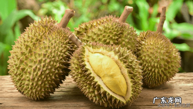 晚上吃榴莲的好处与功效 吃榴莲有什么好处?