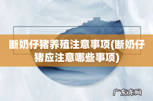 断奶仔猪应注意哪些事项 断奶仔猪养殖注意事项
