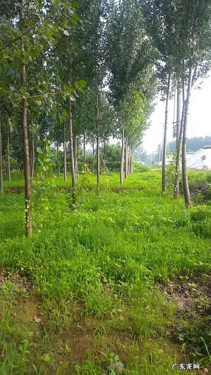 阴宅风水的重要性 阴地风水的选择要点