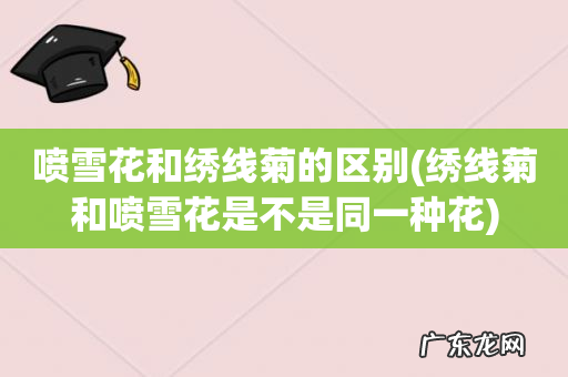绣线菊和喷雪花是不是同一种花 喷雪花和绣线菊的区别
