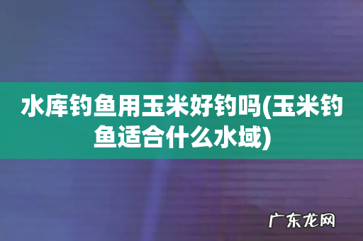 玉米钓鱼适合什么水域 水库钓鱼用玉米好钓吗