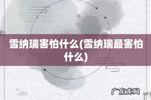雪纳瑞最害怕什么 雪纳瑞害怕什么