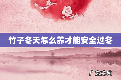 竹子冬天怎么养才能安全过冬