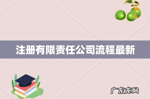 注册有限责任公司流程最新