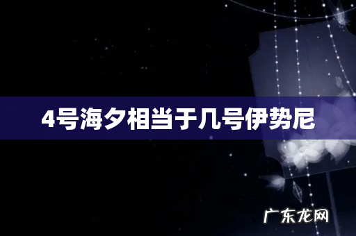 4号海夕相当于几号伊势尼