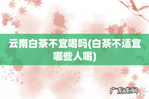 白茶不适宜哪些人喝 云南白茶不宜喝吗