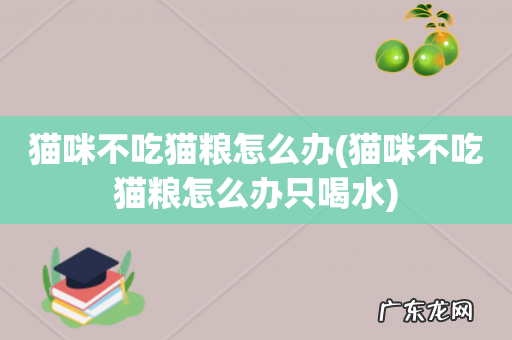 猫咪不吃猫粮怎么办只喝水 猫咪不吃猫粮怎么办