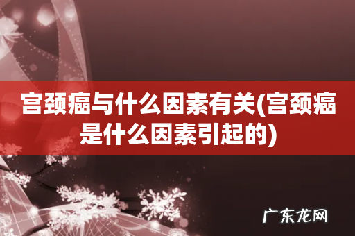 宫颈癌是什么因素引起的 宫颈癌与什么因素有关