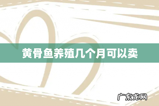 黄骨鱼养殖几个月可以卖