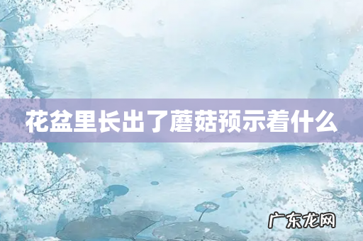 花盆里长出了蘑菇预示着什么