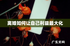 离婚如何让自己利益最大化