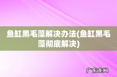 鱼缸黑毛藻彻底解决 鱼缸黑毛藻解决办法