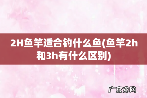 鱼竿2h和3h有什么区别 2H鱼竿适合钓什么鱼