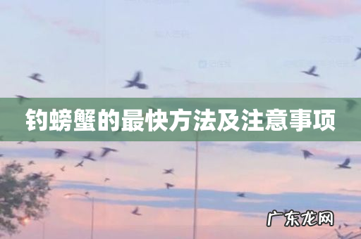 钓螃蟹的最快方法及注意事项