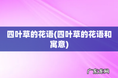 四叶草的花语和寓意 四叶草的花语