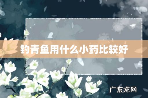 钓青鱼用什么小药比较好