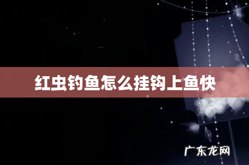 红虫钓鱼怎么挂钩上鱼快